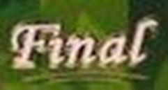 Final Final