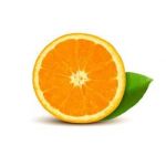 Апельсин вес
